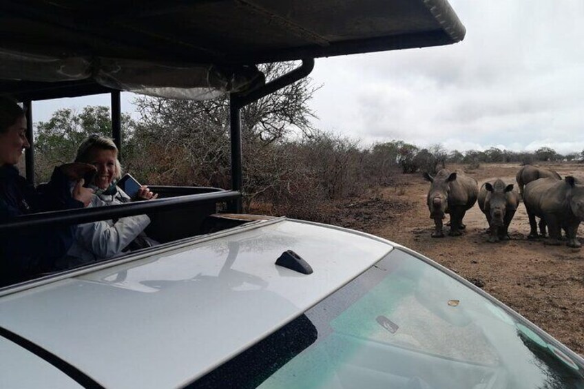 Full Day Safari Tour in Hluhluwe Imfolozi Park