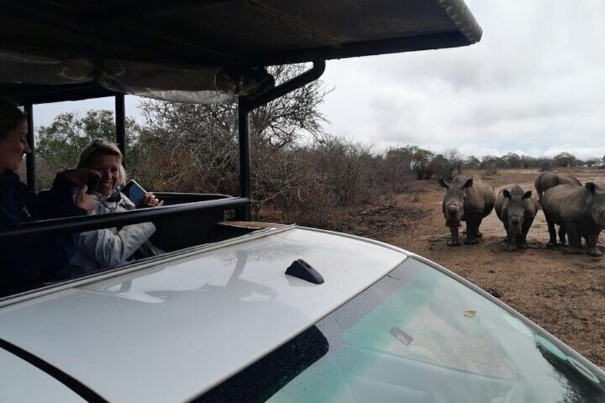Full Day Safari Tour in Hluhluwe Imfolozi Park