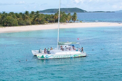 From Fajardo Icacos Catamaran Snorkeling Tour