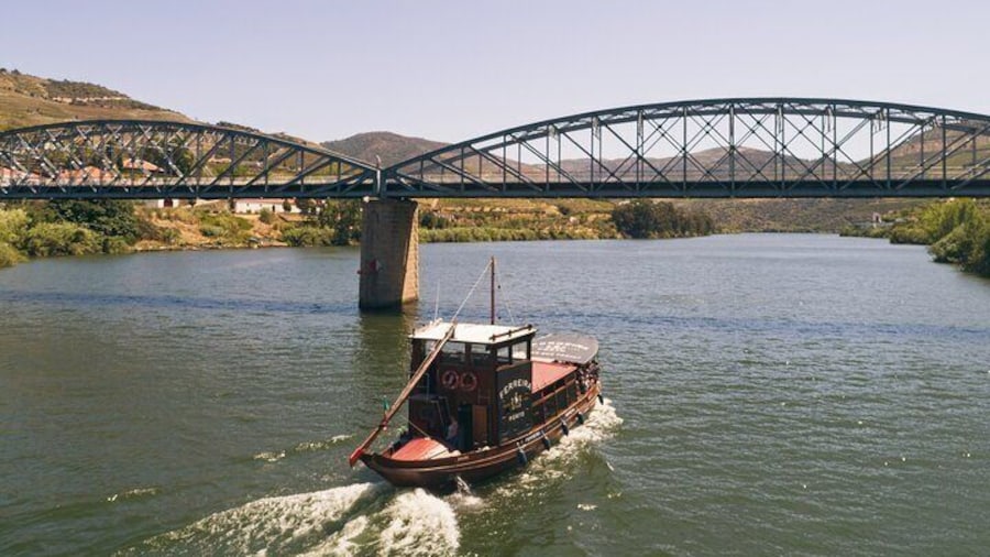Douro Valley: 1h Rabelo Boat Tour with Audio Guide Included