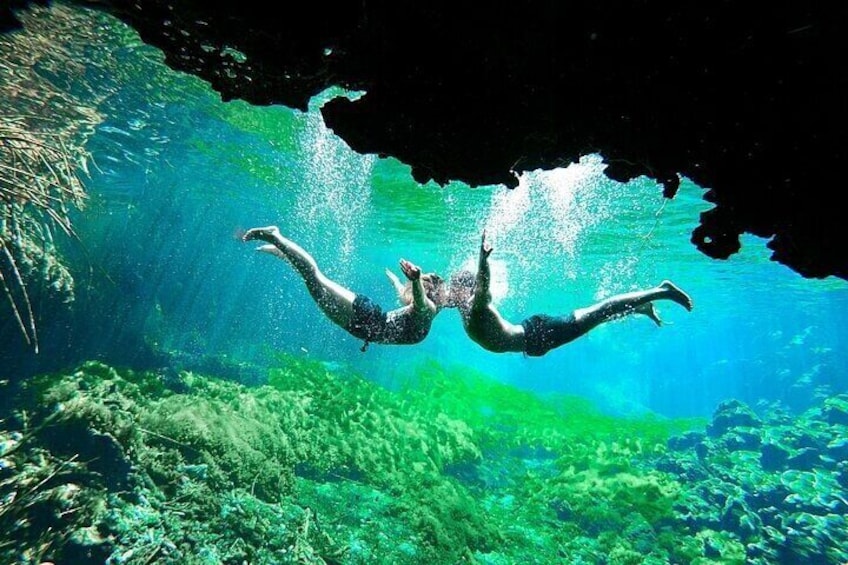 Underground Cenotes Snorkeling Tour with Mayan Snack