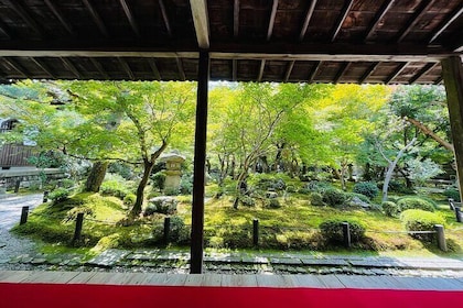 Pedal Adventure Kyoto E-Bike tour : True Kyoto Avoid the crowds