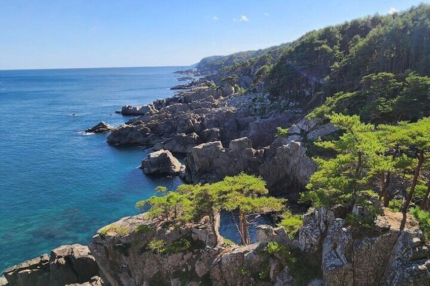 Michinoku Coastal Trail & Sea Kayak in Jodogahama