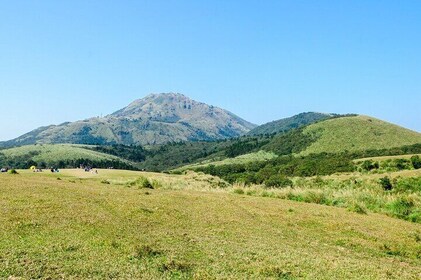 Yangmingshan Half Day Tour in Taipei