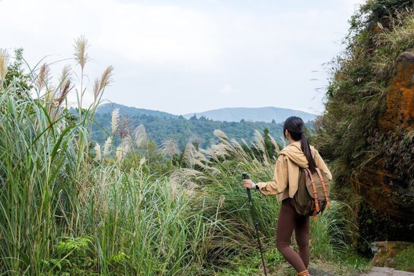 Yangmingshan Half Day Tour in Taipei