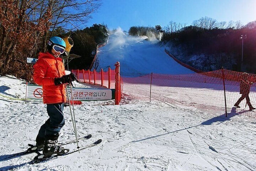 Snow skiing with National licensed Instructor in Korea