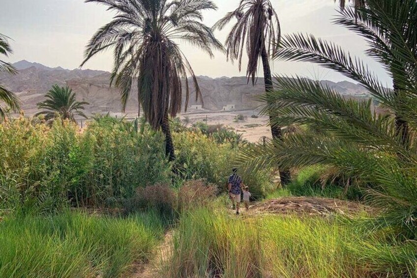 3 Days Tour - Explore the Path of Moses in Tabuk