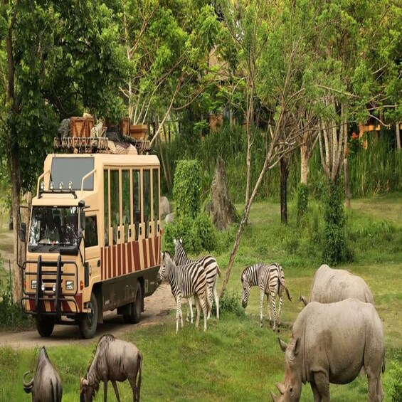 Dubai Safari Park
