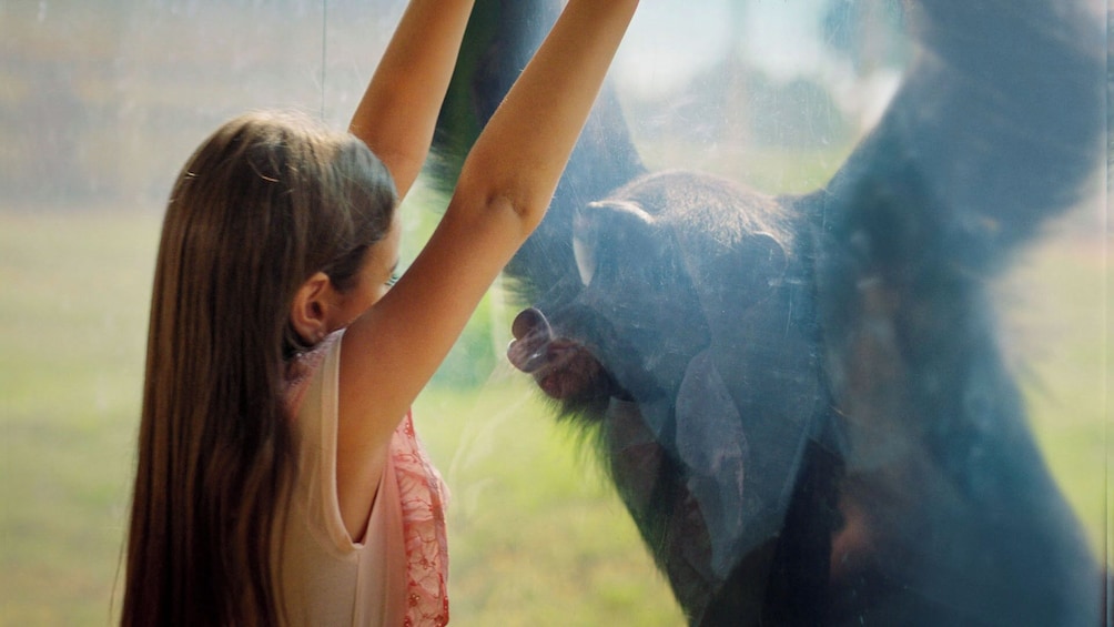 Dubai Safari Park +Explorer Safari Tour Tickets