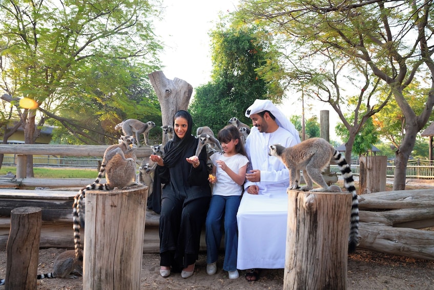 Dubai Safari Park +Explorer Safari Tour Tickets