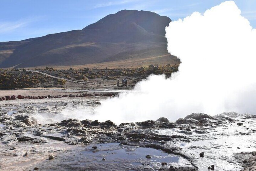 Half-Day Tour to the Tatio Geysers