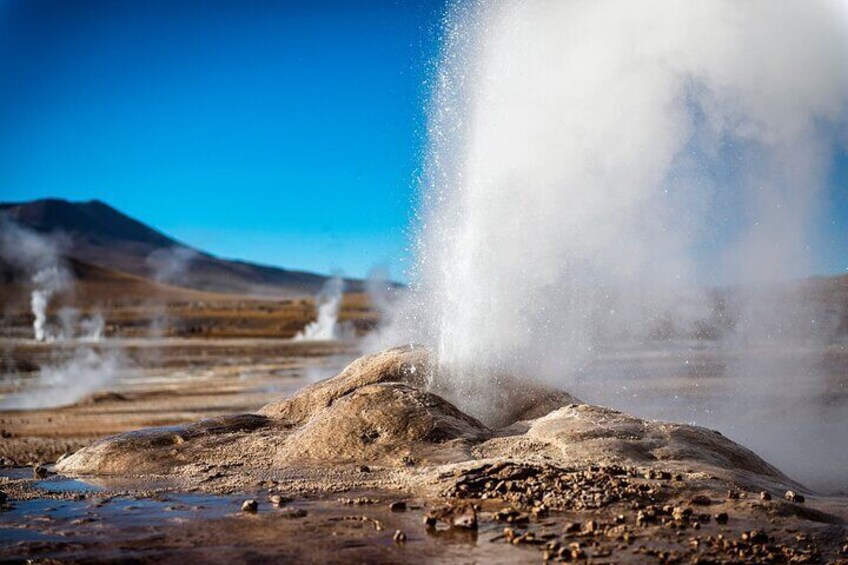 Half-Day Tour to the Tatio Geysers