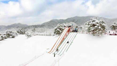 Seoul: Strawberry Picking, Winter Sled with Eobi Ice Valley
