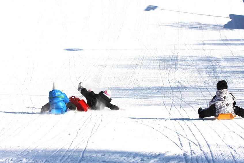 Picture 2 for Activity Seoul: Strawberry Farm & Winter Sled & Eobi Ice Valley