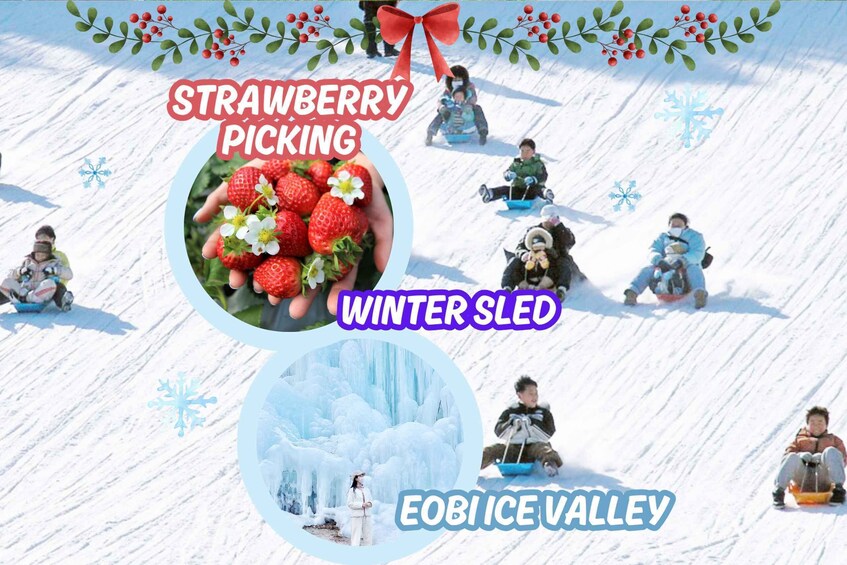 Seoul: Strawberry Farm & Winter Sled & Eobi Ice Valley