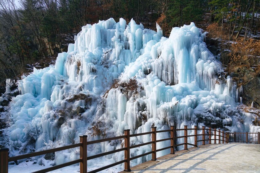 Picture 1 for Activity Seoul: Strawberry Farm & Winter Sled & Eobi Ice Valley