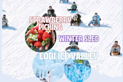 Seoul: Strawberry Farm & Winter Sled & Eobi Ice Valley