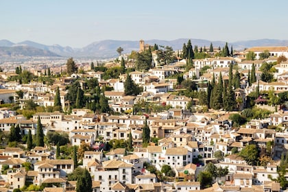 Dagtocht Granada vanuit Sevilla