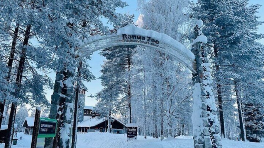 Ranuas Arctic Wildlife Park Ticket with Transportation