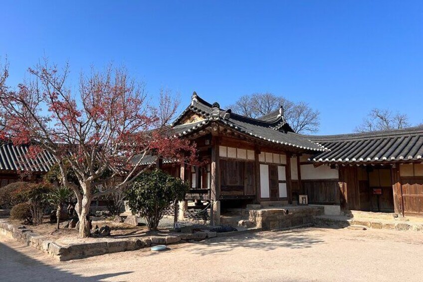 Full Day Gyeongju Historical City Tour from Busan