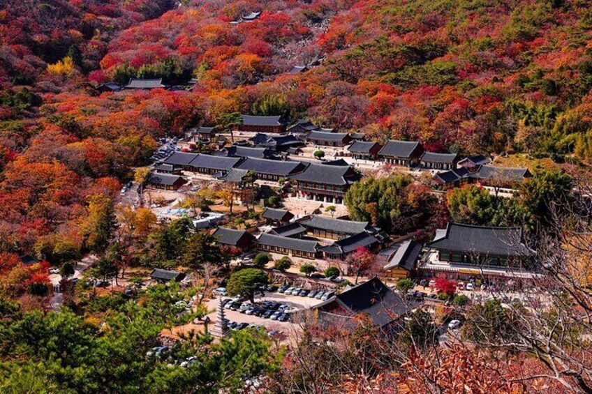 Full Day Private customize VAN tour Gyeongju and Busan (to 8pax)