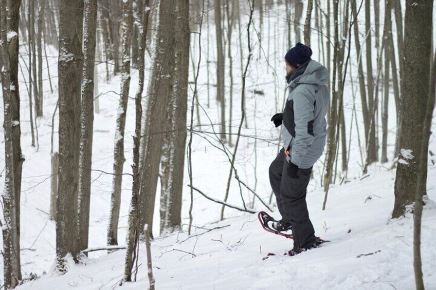 Snowshoeing tour with Wild Lunch