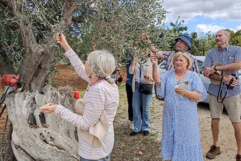 Cooking Class in Ostuni