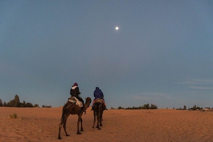 From Marrakech: 2-Day Sahara Tour to Zagora & Ait Ben Haddou