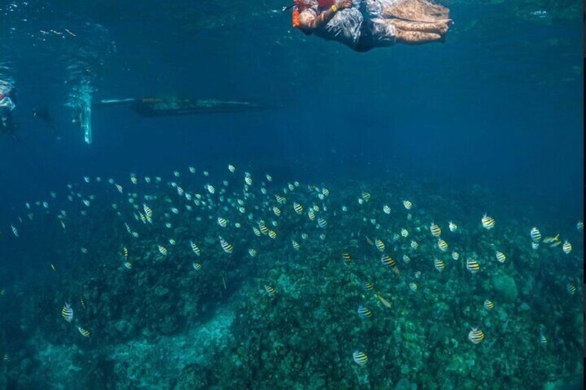 West Bay Beach Eco-Park and Snorkel Adventure