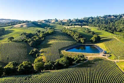 Private Enchanted Napa & Sonoma Wine Tour from Oakland