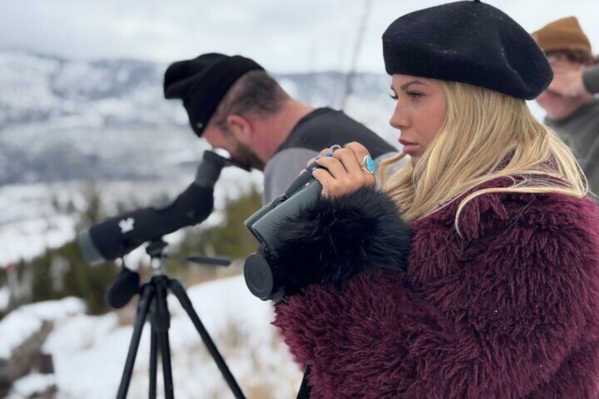 Lamar Valley Winter Wildlife Safari from Bozeman PRIVATE + Lunch