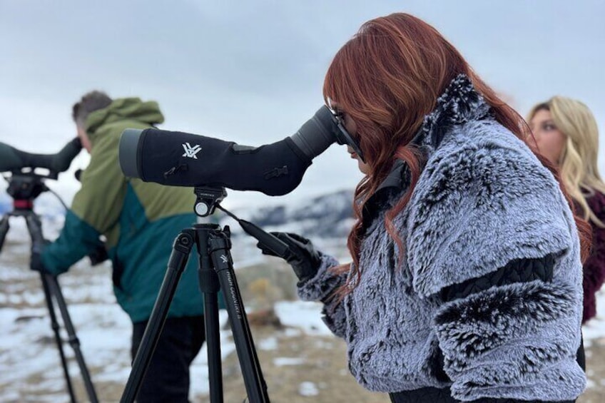 Lamar Valley Winter Wildlife Safari from Bozeman PRIVATE + Lunch