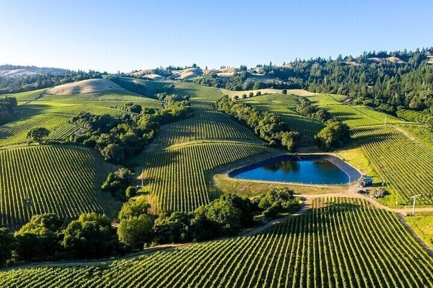 Private Enchanted Napa & Sonoma Wine tour from San Jose