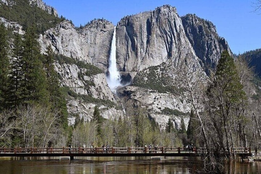 From San Jose-Enchanted Full Day Yosemite National Park Tour