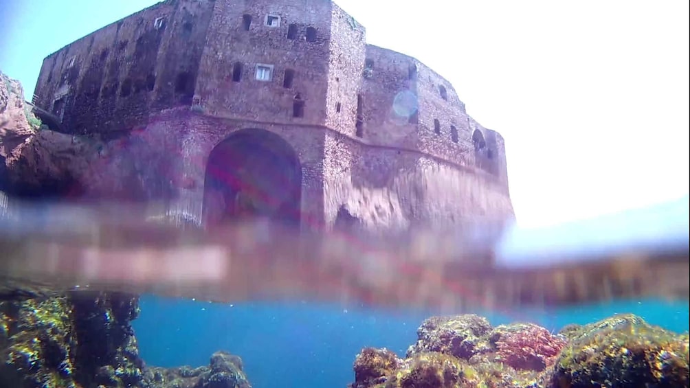 Picture 8 for Activity Peniche: Berlengas Island Catamaran Tour + Snorkeling