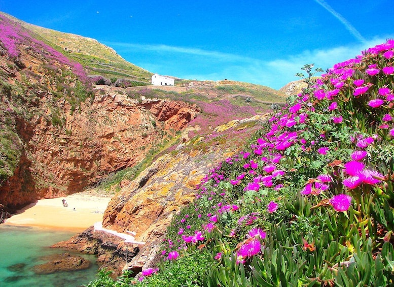 Picture 4 for Activity Peniche: Berlengas Island Catamaran Tour + Snorkeling