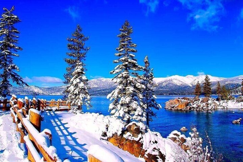 Lake Tahoe Full Day Private Tour from San Jose