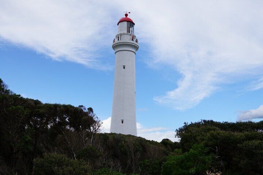  Private Great Ocean Road Day Tour with Transportation and WiFi