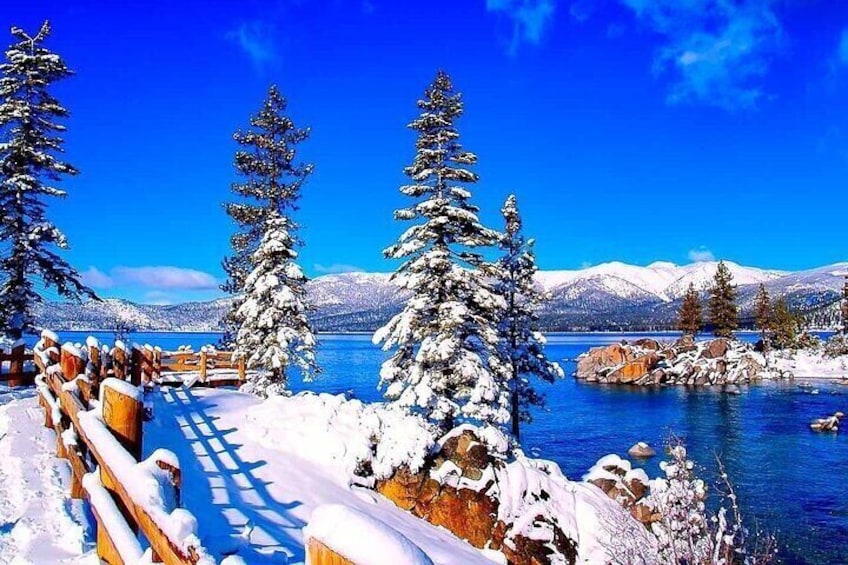 Full Day Private Lake Tahoe Tour from Oakland