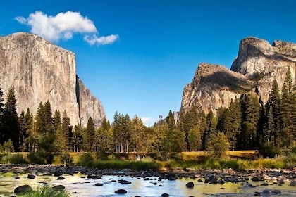 Enchanting Full Day Yosemite National Park Tour from Oakland