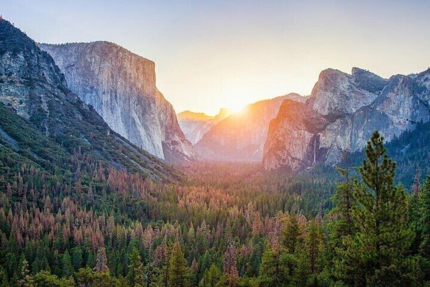 Enchanting Full Day Yosemite National Park Tour from Oakland