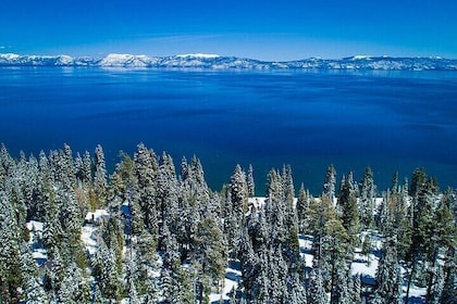 Lake Tahoe Small Group Tour from Oakland