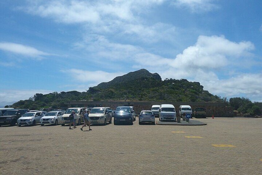 Full Day Cape Peninsula Tour: Explore our Scenic Wonders!