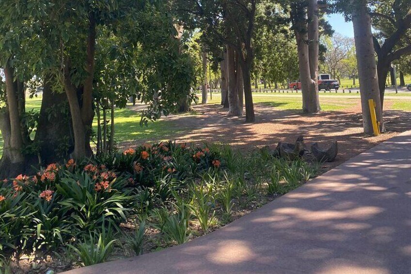 Running Activity Experience in Buenos Aires Red Trail