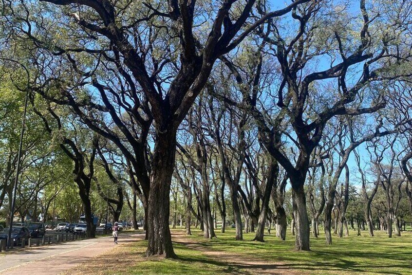 Running Activity Experience in Buenos Aires Red Trail