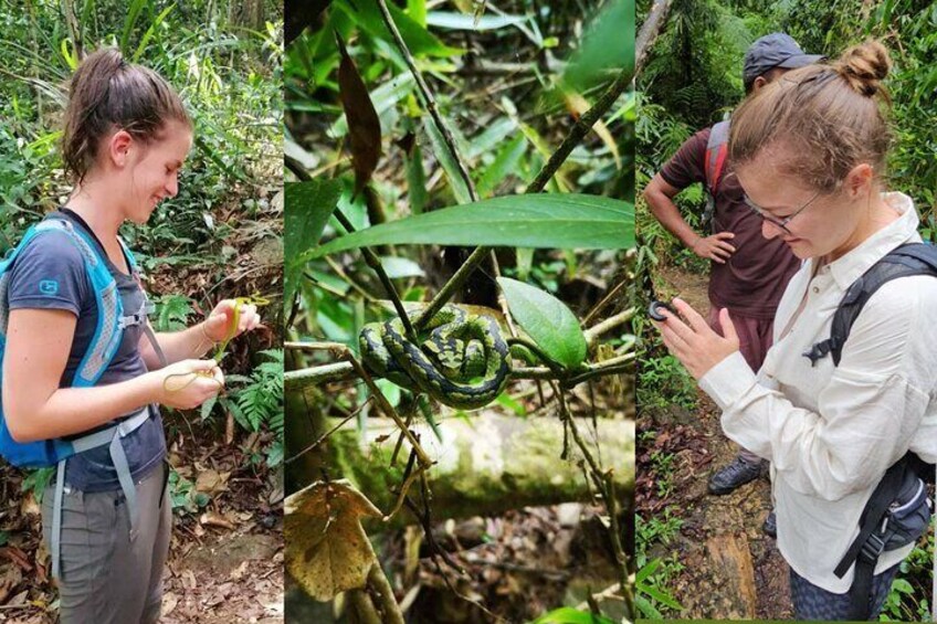 Paradise Sinharaja Rain forests Tours