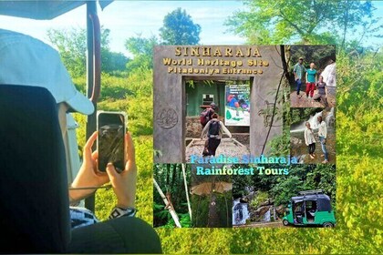 Paradise Sinharaja Rain Forests Tours
