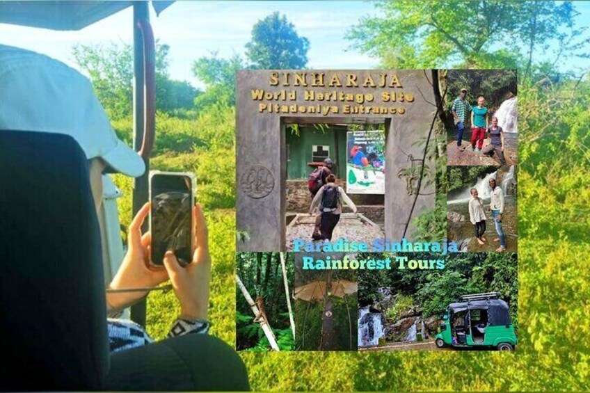 Paradise Sinharaja Rain forests Tours 