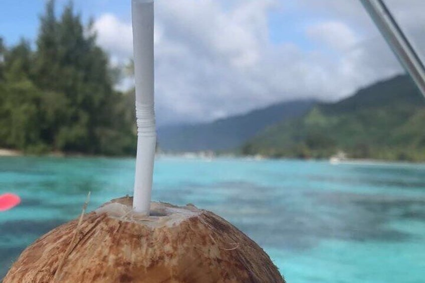 Private tour in Moorea by boat, visit and snorkeling