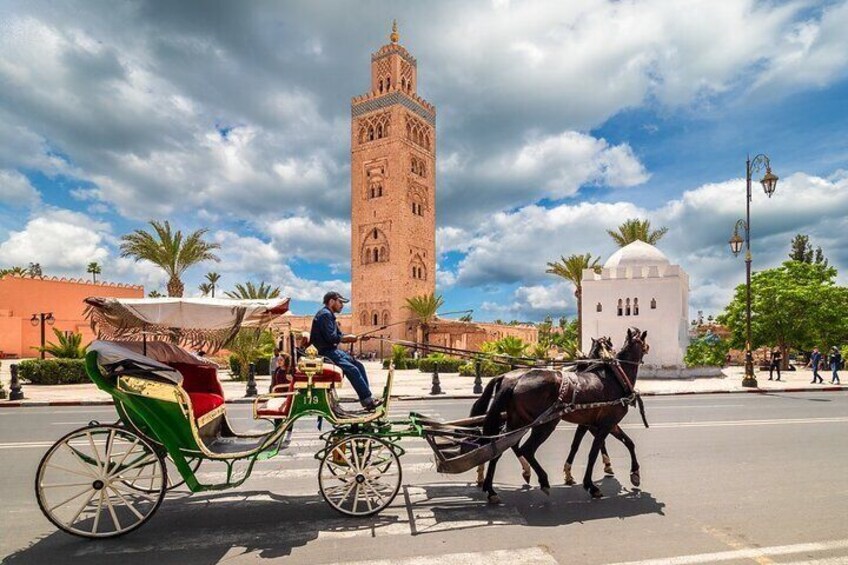 Discovery of Marrakech with Camel Ride from Casablanca